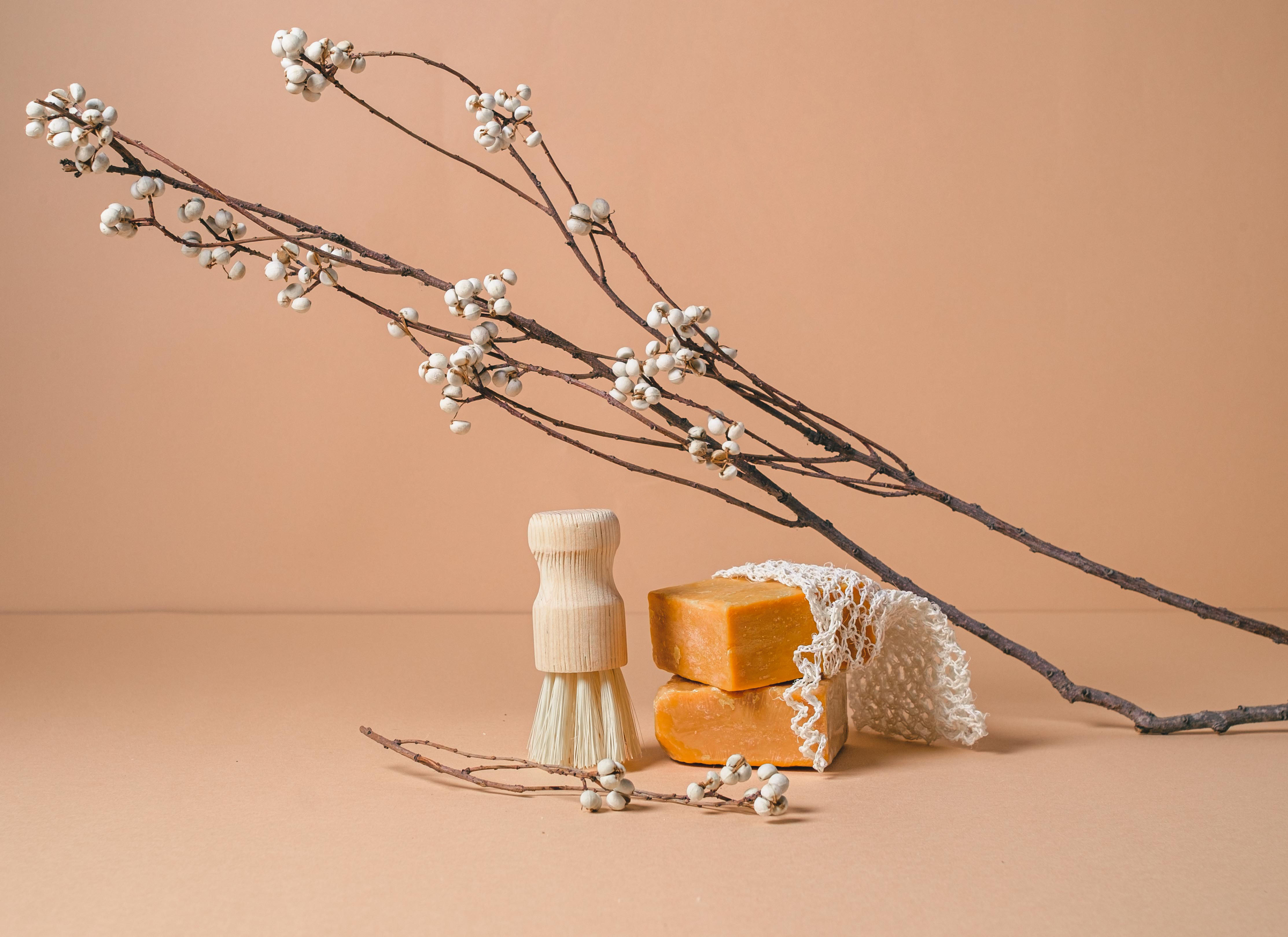 龍舌蘭輕輕刷｜萬用刷｜墨西哥