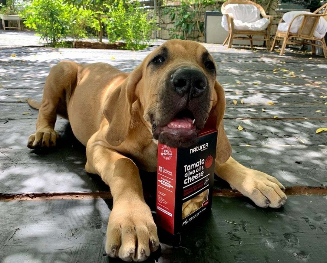 Naturea Grain Free Tamato Olive Oil & Cheese Delicious and Crunchy Biscuits For Dogs (140g) EXP: 07/2026