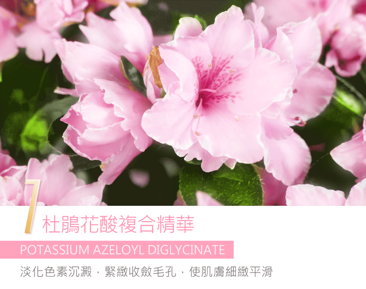 Jealousness - 杜鵑花酸煥白煥膚面膜150g