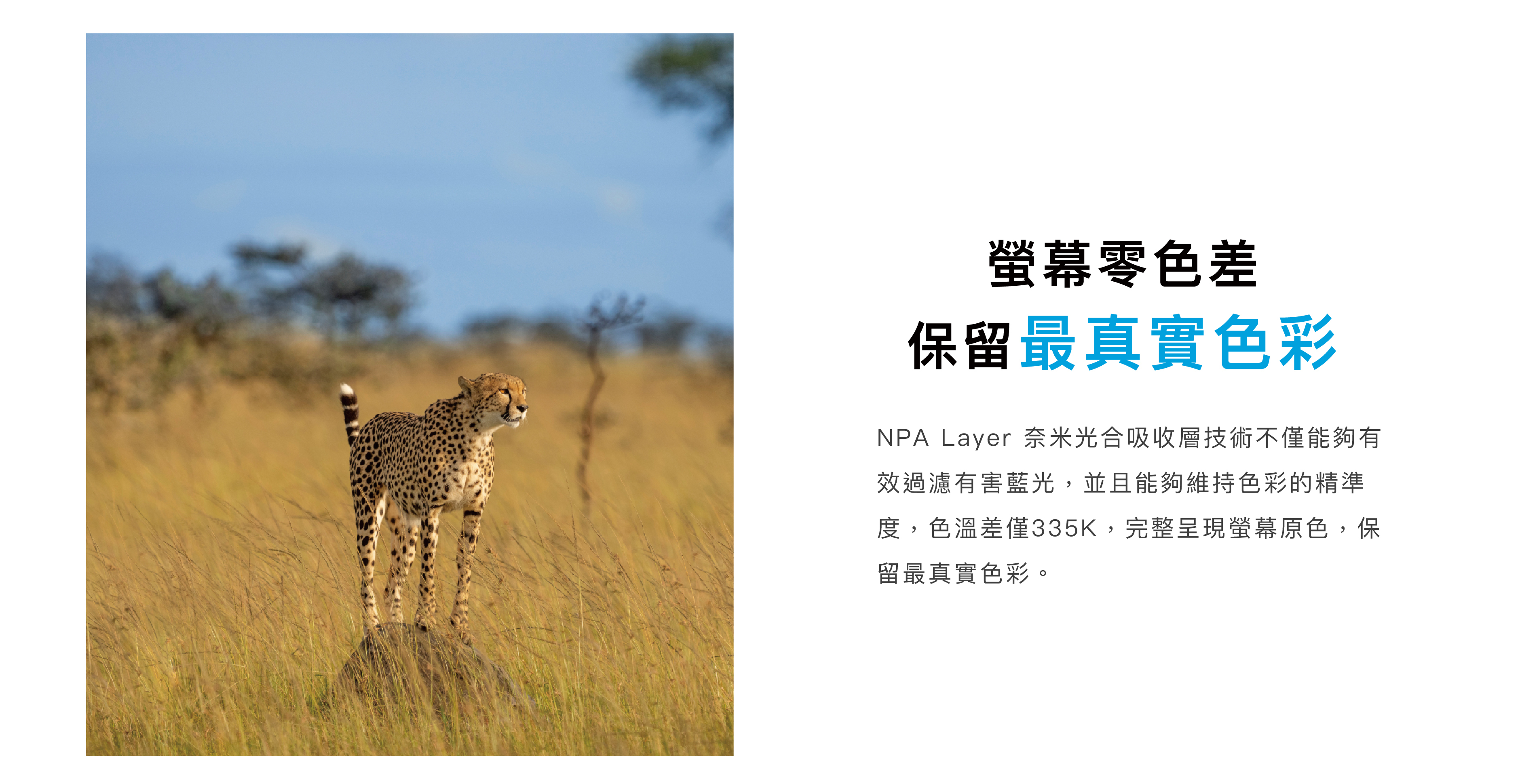 螢幕零色差保留最真實色彩 Simmpo簡單貼 德國萊茵認證 TÜV抗藍光簡單貼