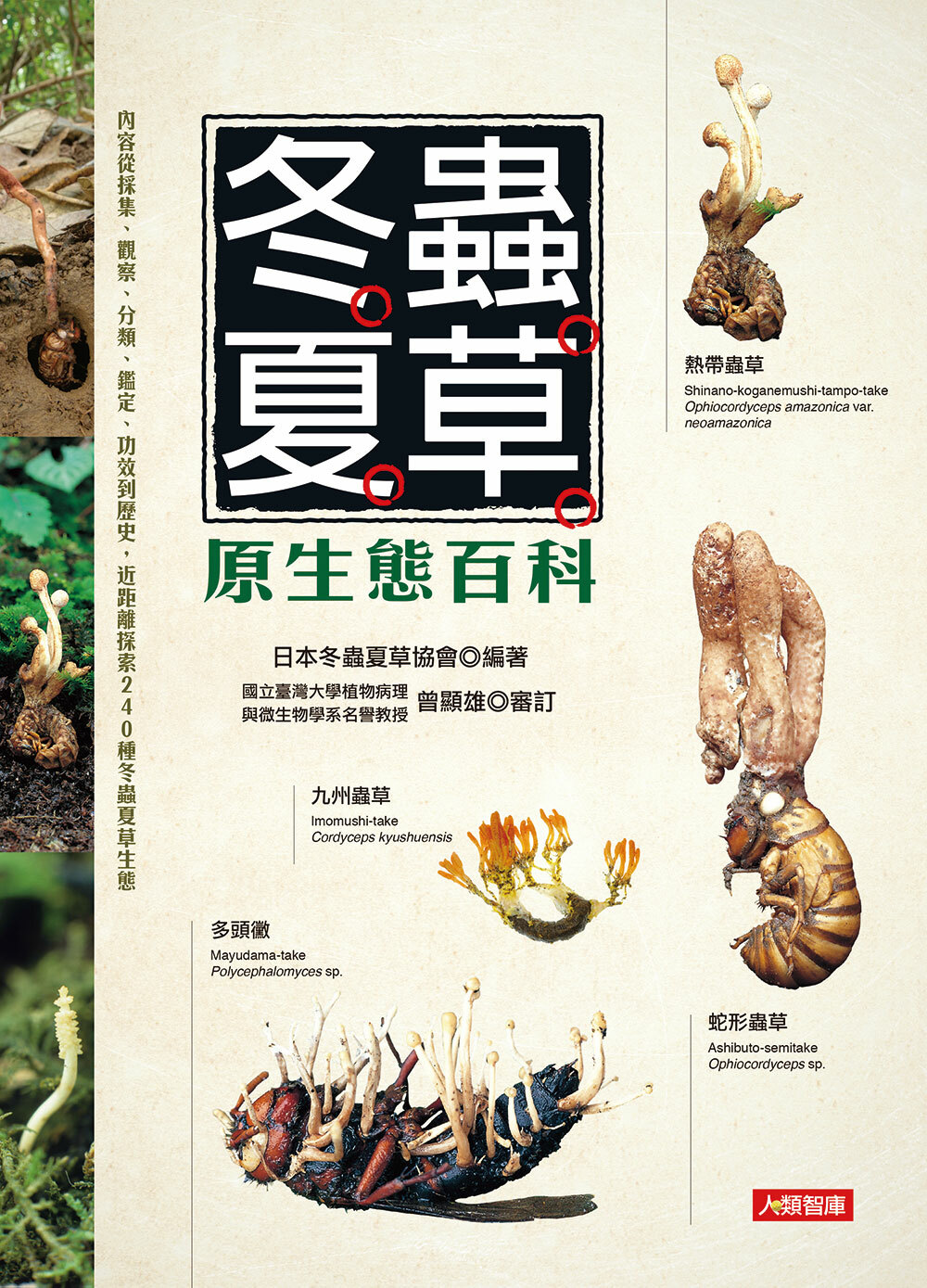 [任選五本$999]園藝天地：冬蟲夏草原生態百科