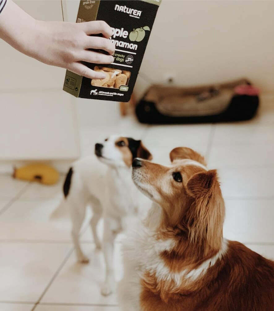Naturea Grain Free Apple & Cinnamon Delicious and Crunchy Biscuits For Dogs (140g)EXP: 07/2026
