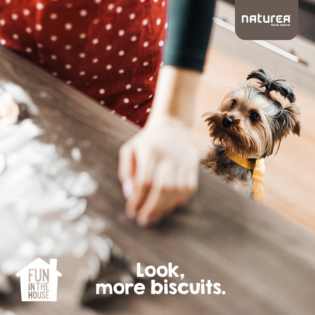 Naturea Grain Free Yogurt Walnut & Honey Delicious and Crunchy Biscuits For Dogs 140g EXP: 07/2026