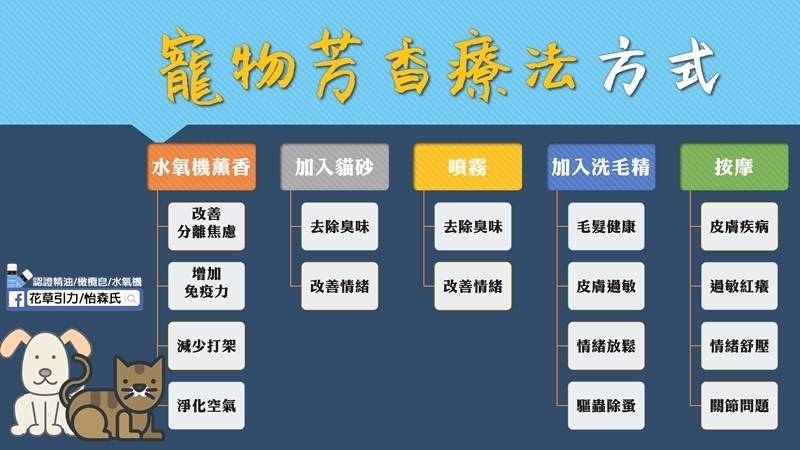 寵物的芳香療法與安全 貓狗可以用哪些精油？
