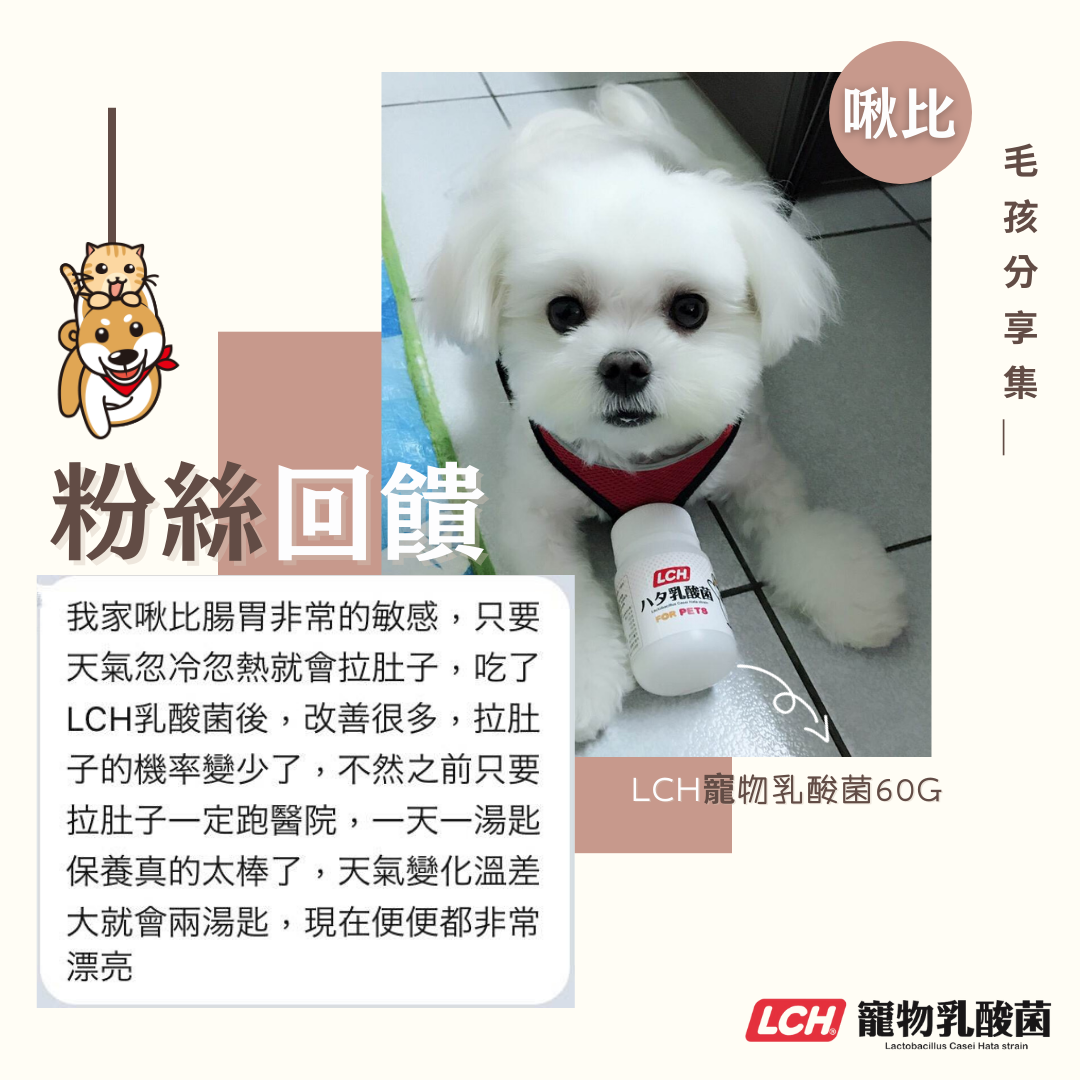LCH寵物乳酸菌食用心得