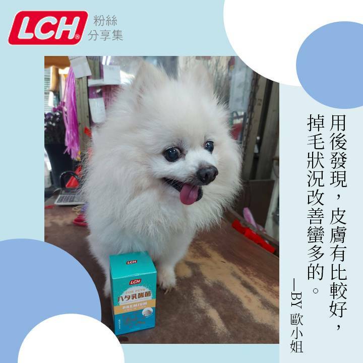LCH寵物乳酸菌食用心得