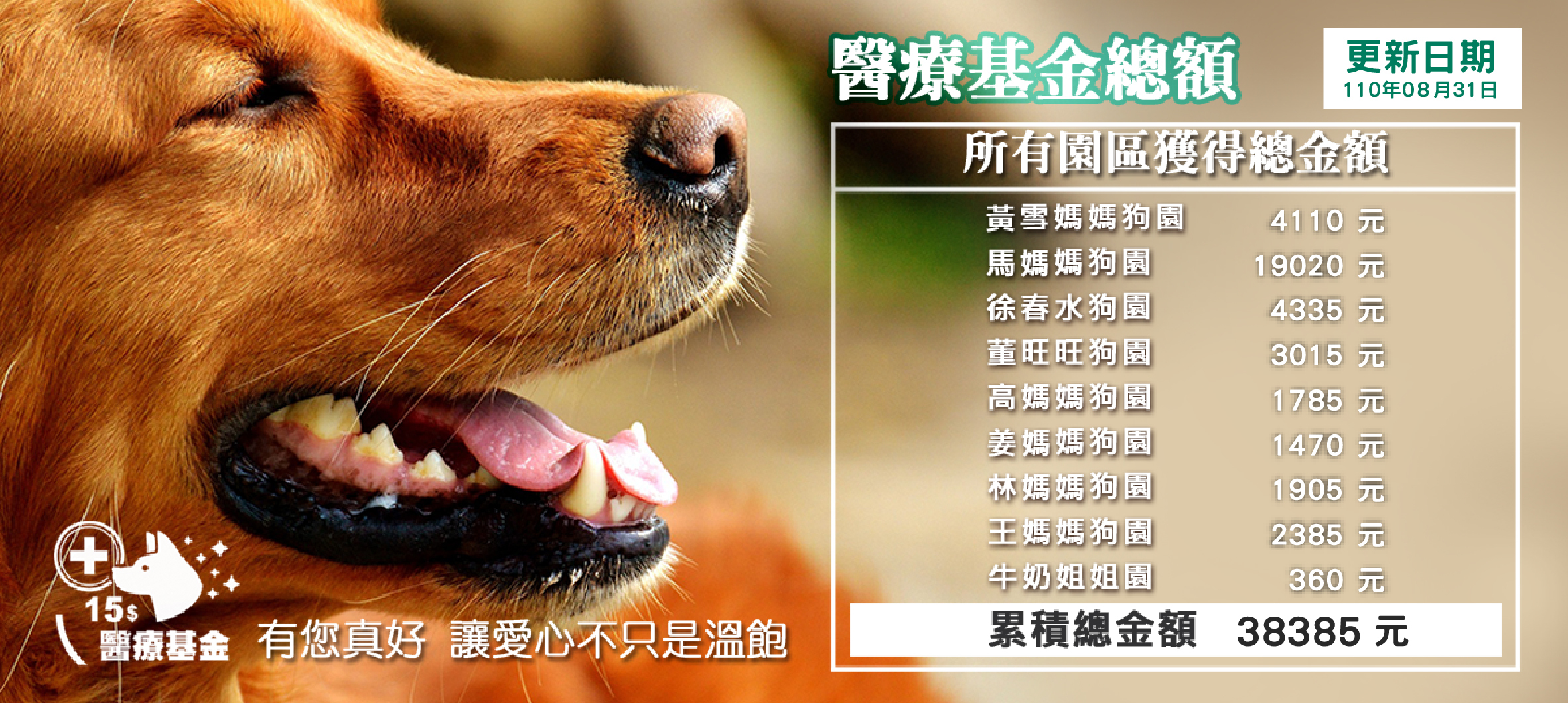 募糧,醫療基金,狗園捐贈,飼料捐贈