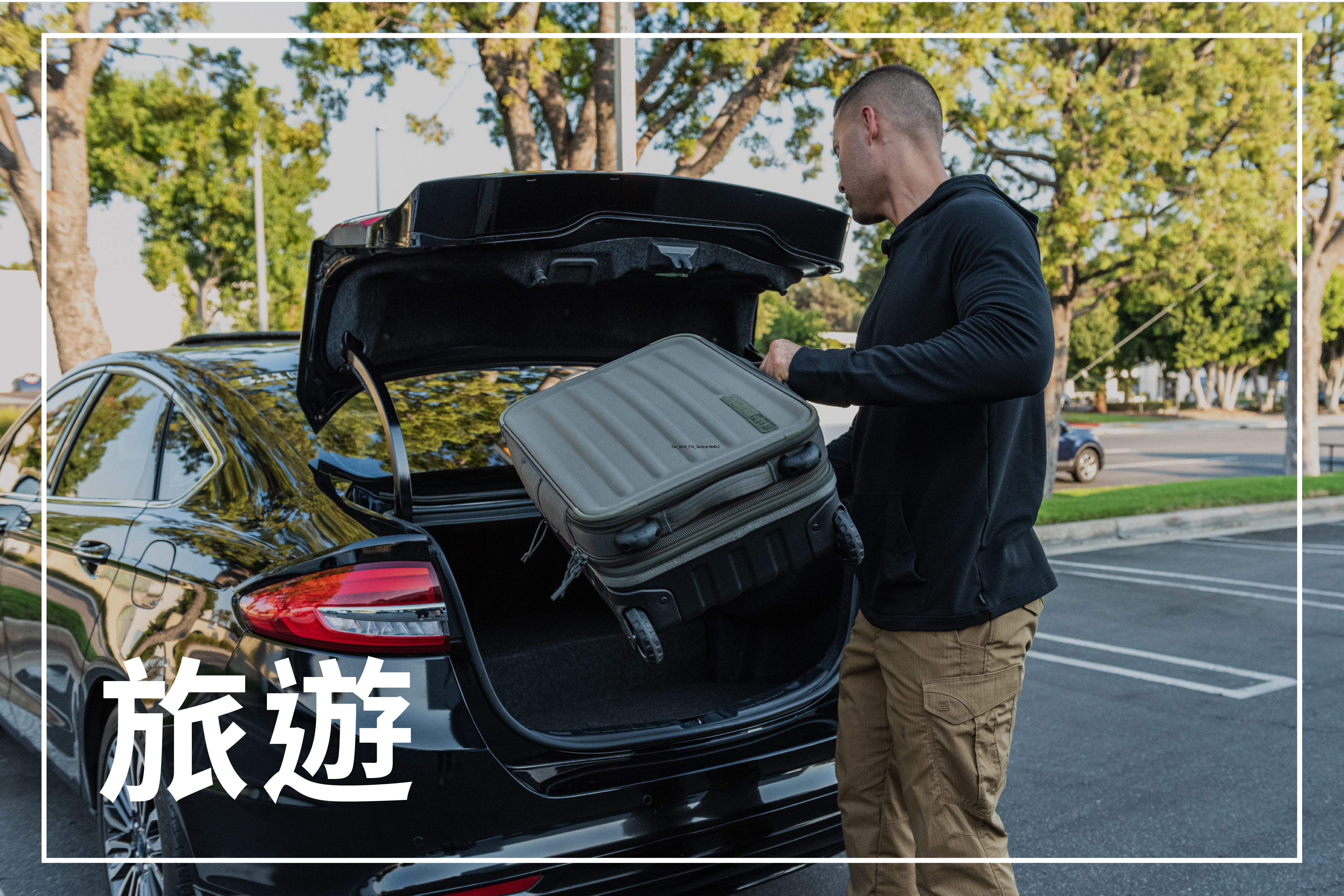 按用途分類