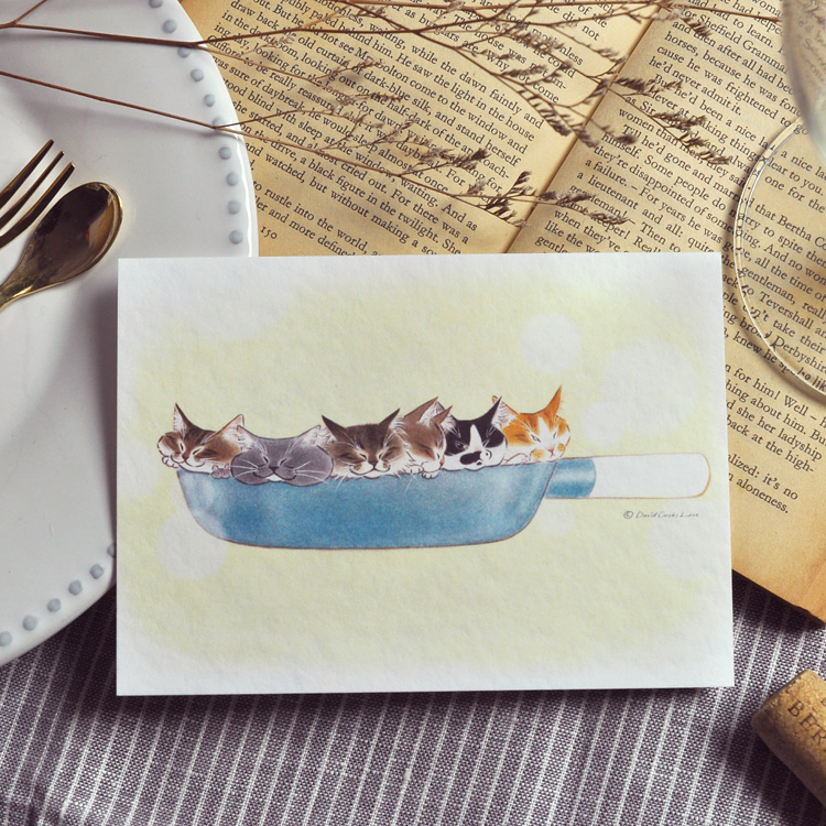 補補貓‧大衛煮愛｜絕版｜明信片｜一鍋貓