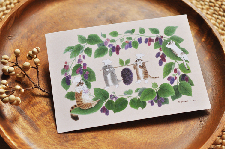 補補貓‧大衛煮愛｜絕版｜明信片｜桑葚圖