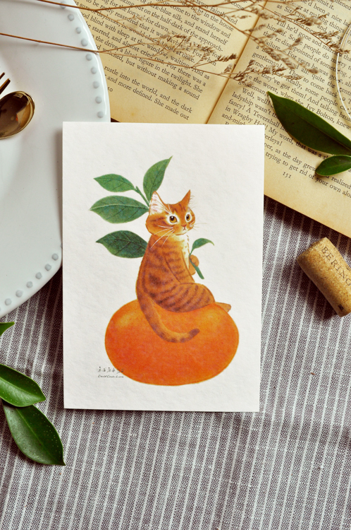 補補貓‧大衛煮愛｜絕版｜明信片｜橘子貓