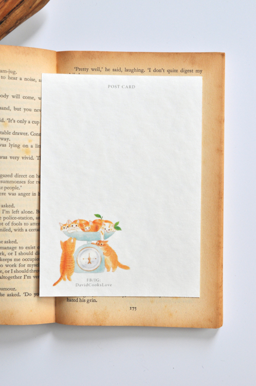 補補貓‧大衛煮愛｜明信片｜橘貓橘貓幾斤重