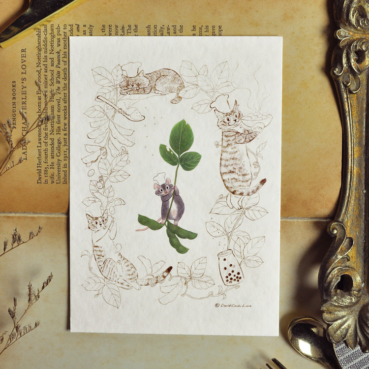 補補貓‧大衛煮愛｜絕版｜明信片｜Penny毛豆