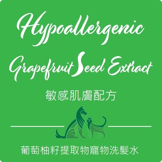 Nootie 低敏葡萄籽精華洗毛水 椰子香味 16oz（美容護理）