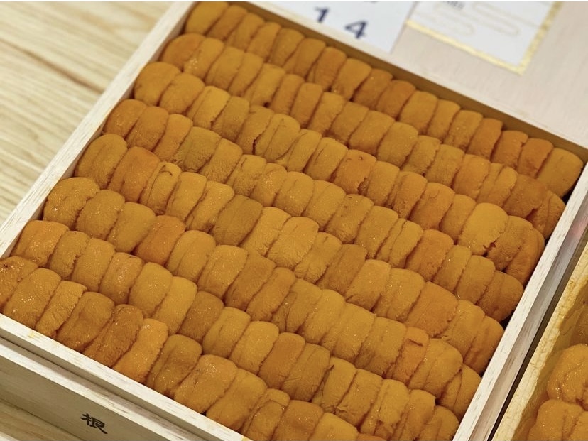 北海道方盒 馬糞海膽 (400g)