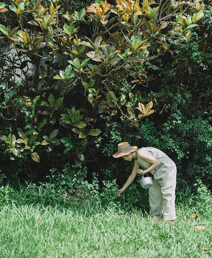 9月中旬。青子食堂，享有整片森林的全貌，企劃限定商品第二波