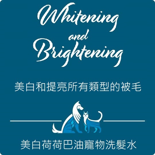 Nootie 美白荷荷巴油洗毛水 雲呢嗱甜豆清新香味 16oz/1gal（美容護理）