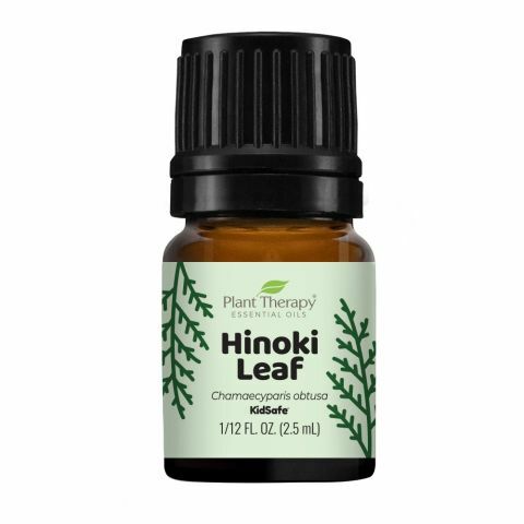 【限量精油】Plant Therapy 日本檜木葉精油（Hinoki Leaf ）2.5ml