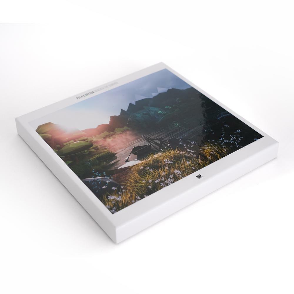 Pola & Bryson《Beneath The Surface》 （2LP + 貼紙 + 海報 + USB豪華boxet）