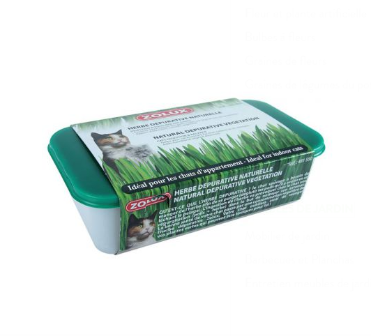 French Zolux-cat grass planting set