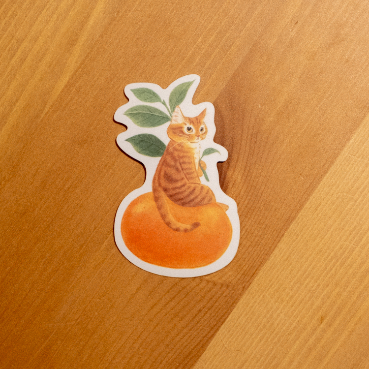 補補貓‧大衛煮愛｜絕版｜防水貼紙M｜橘子貓