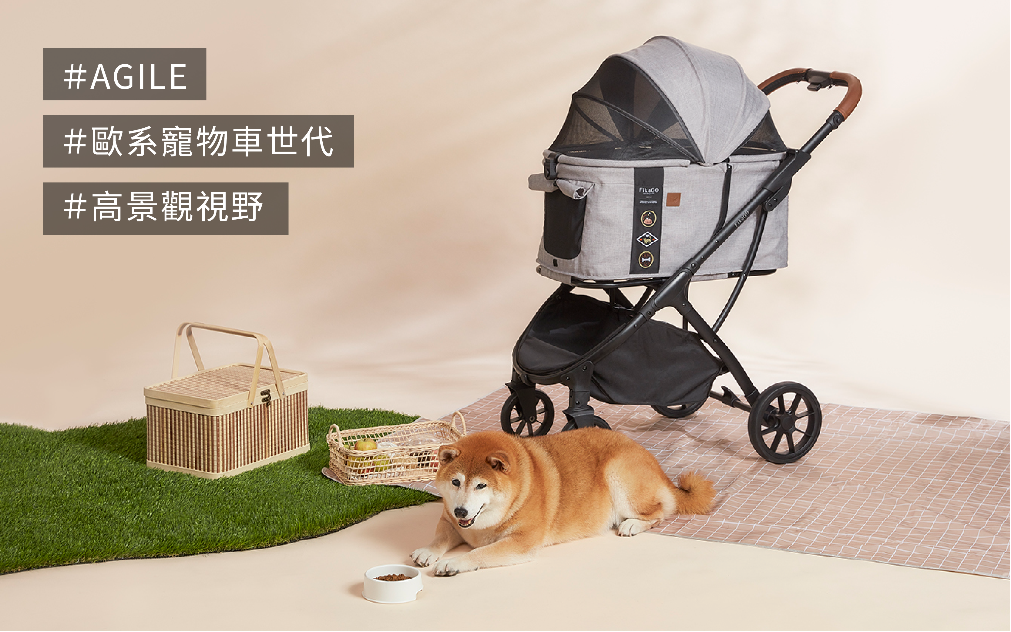 AGILE，全新登場