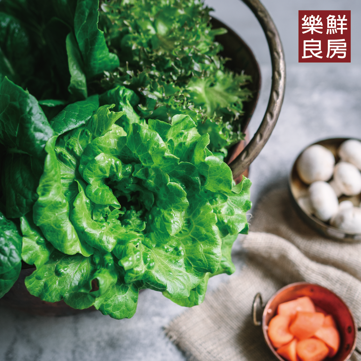 教你用無毒水耕生菜做出五種療癒吃法