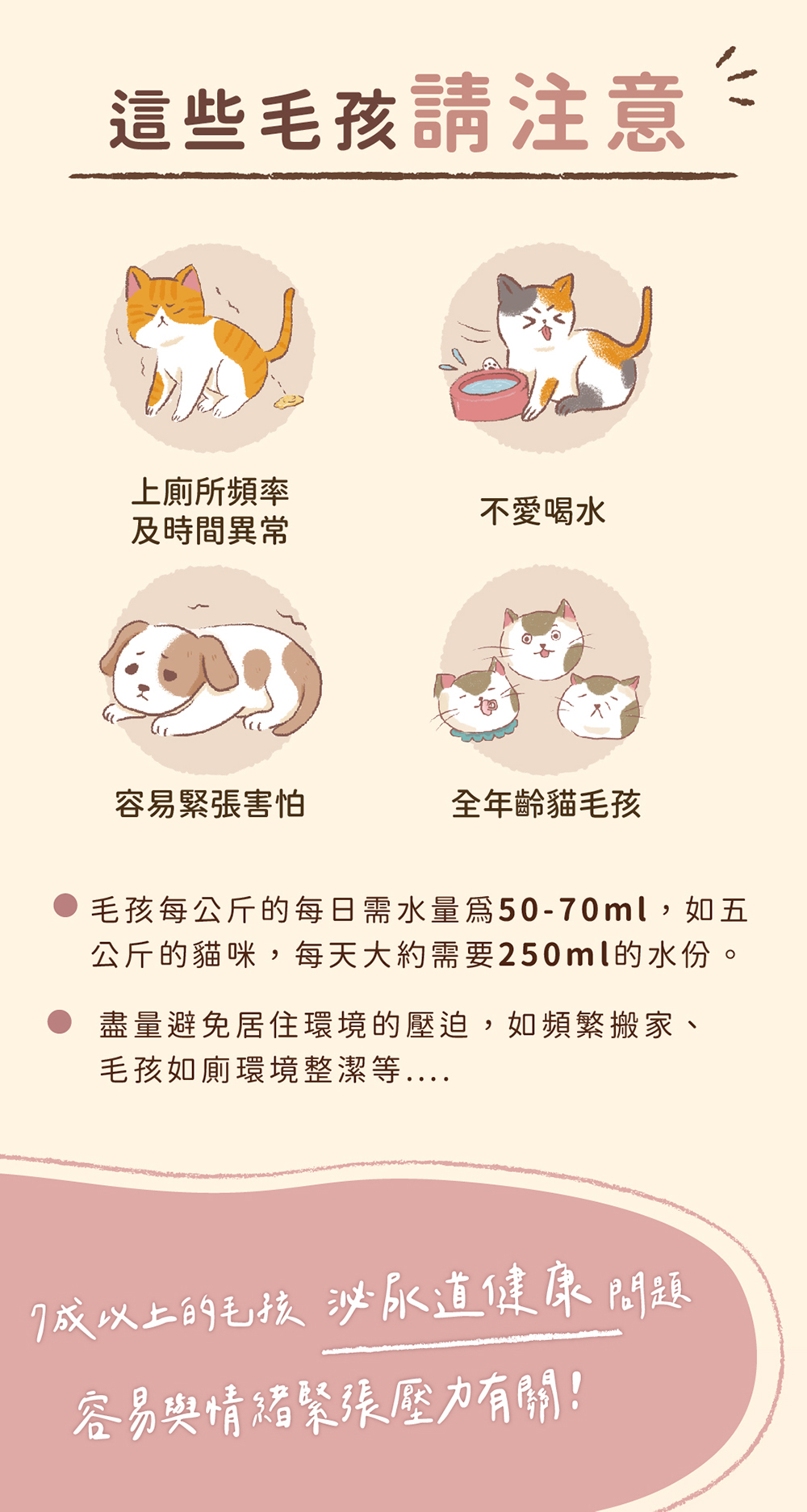 容易緊張的毛孩、不愛喝水的毛孩