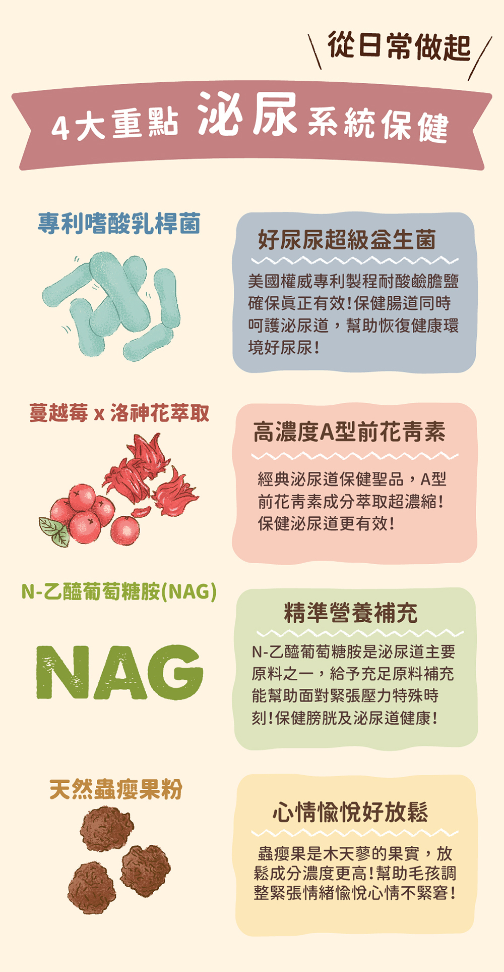 添加好尿尿超級益生菌，蔓越莓及洛神花萃取，天然蟲癭果粉，NAG