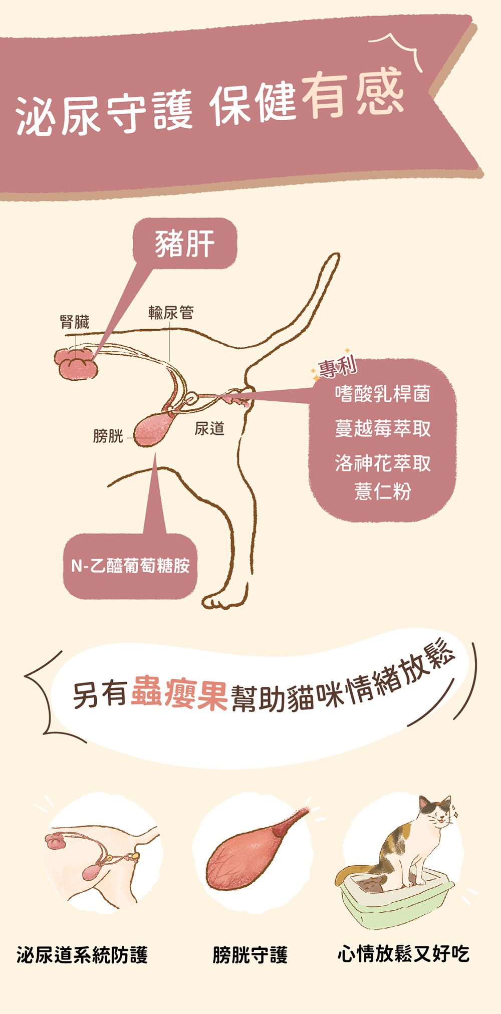 泌尿系統守護，貓咪好心情，膀胱守護