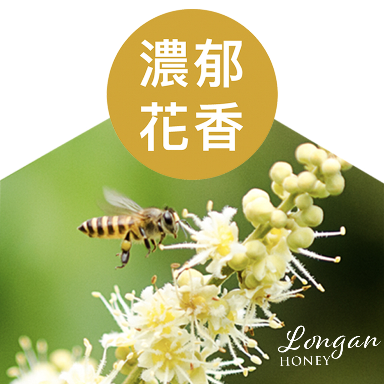 龍眼大花蜜(外銷日本)