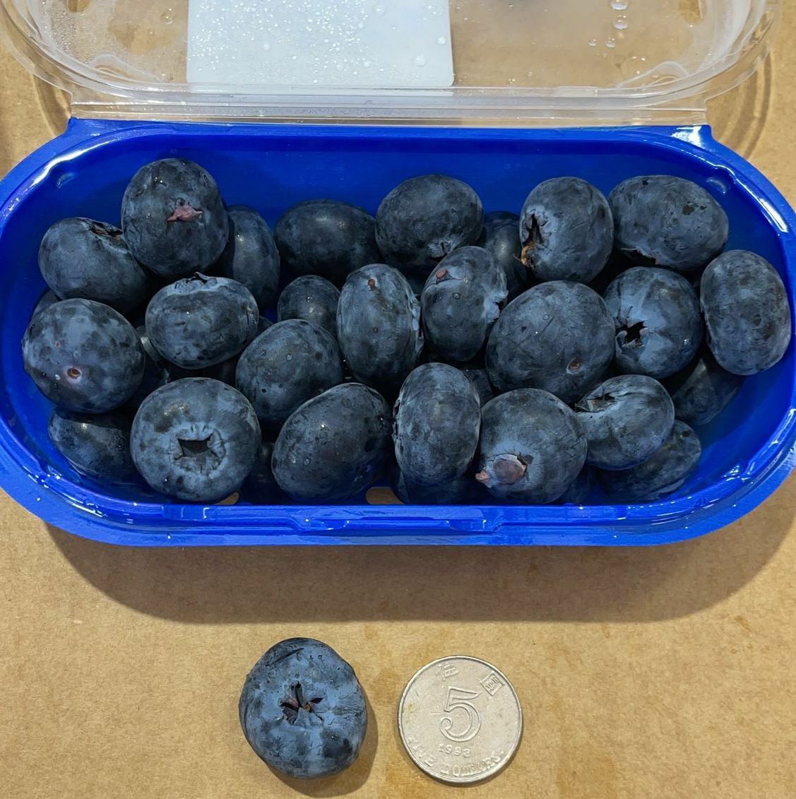 Australian super jumbo blueberries (200g)