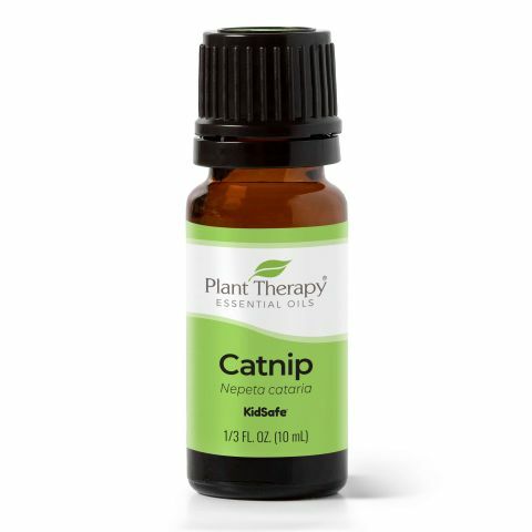 Plant Therapy 貓薄荷 Catnip 精油 (兒童安全)-10ml