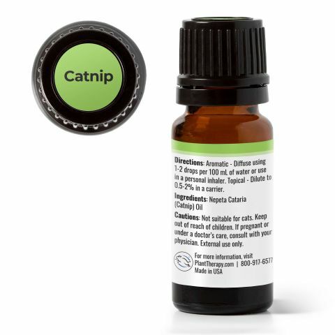 Plant Therapy 貓薄荷 Catnip 精油 (兒童安全)-10ml