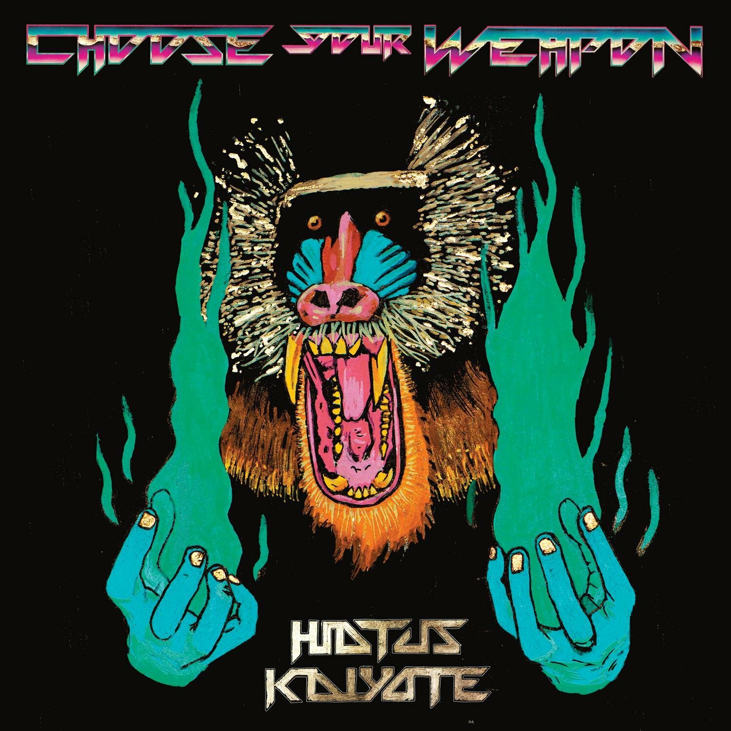 Hiatus Kaiyote《Choose Your Weapon》（2LP）