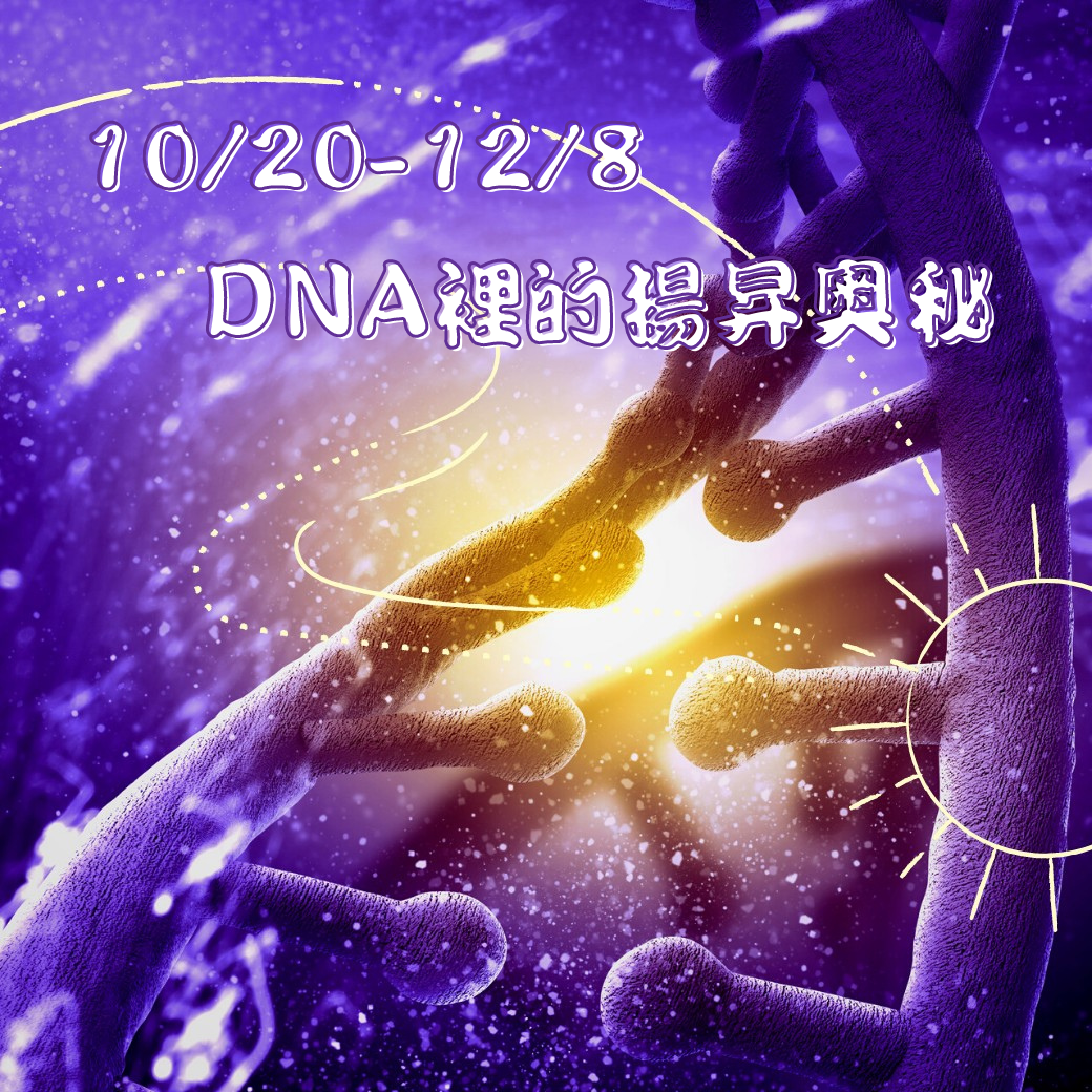 10/20-12/8 DNA裡的揚昇奧秘