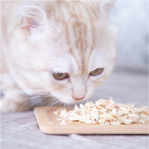 毛孩點心｜毛尋味肉排 - 毛孩食務所