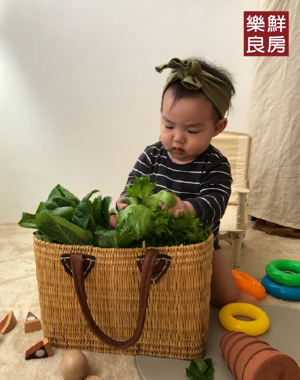 寶寶副食品食譜怎麼準備？用無毒蔬菜製作4～12個月副食品
