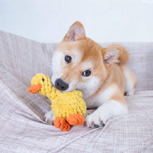 編織繩玩具｜小鴨 - 毛孩食務所