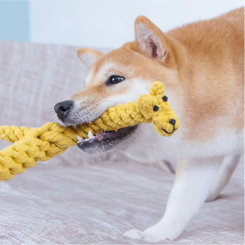 編織繩玩具｜頸長長的鹿 - 毛孩食務所