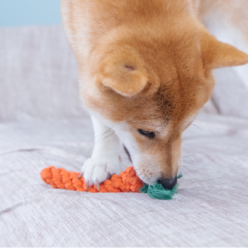 編織繩玩具｜乾癟的紅蘿蔔 - 毛孩食務所