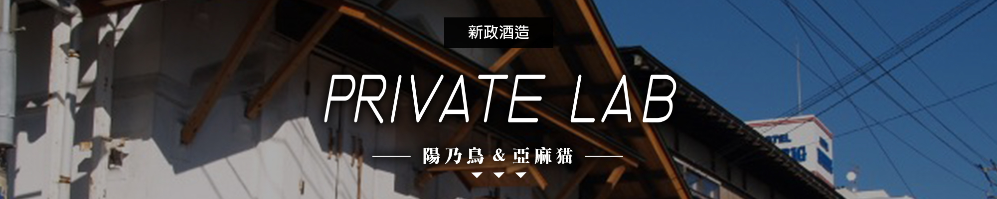 新政|PRIVATE LAB|AMALL清酒專門店|SAKE|日本酒|酒