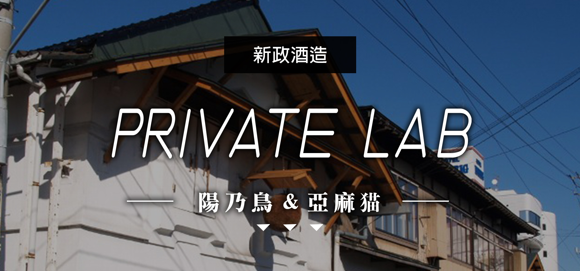 新政PRIVATE LAB|AMALL清酒專門店|SAKE|日本酒|酒