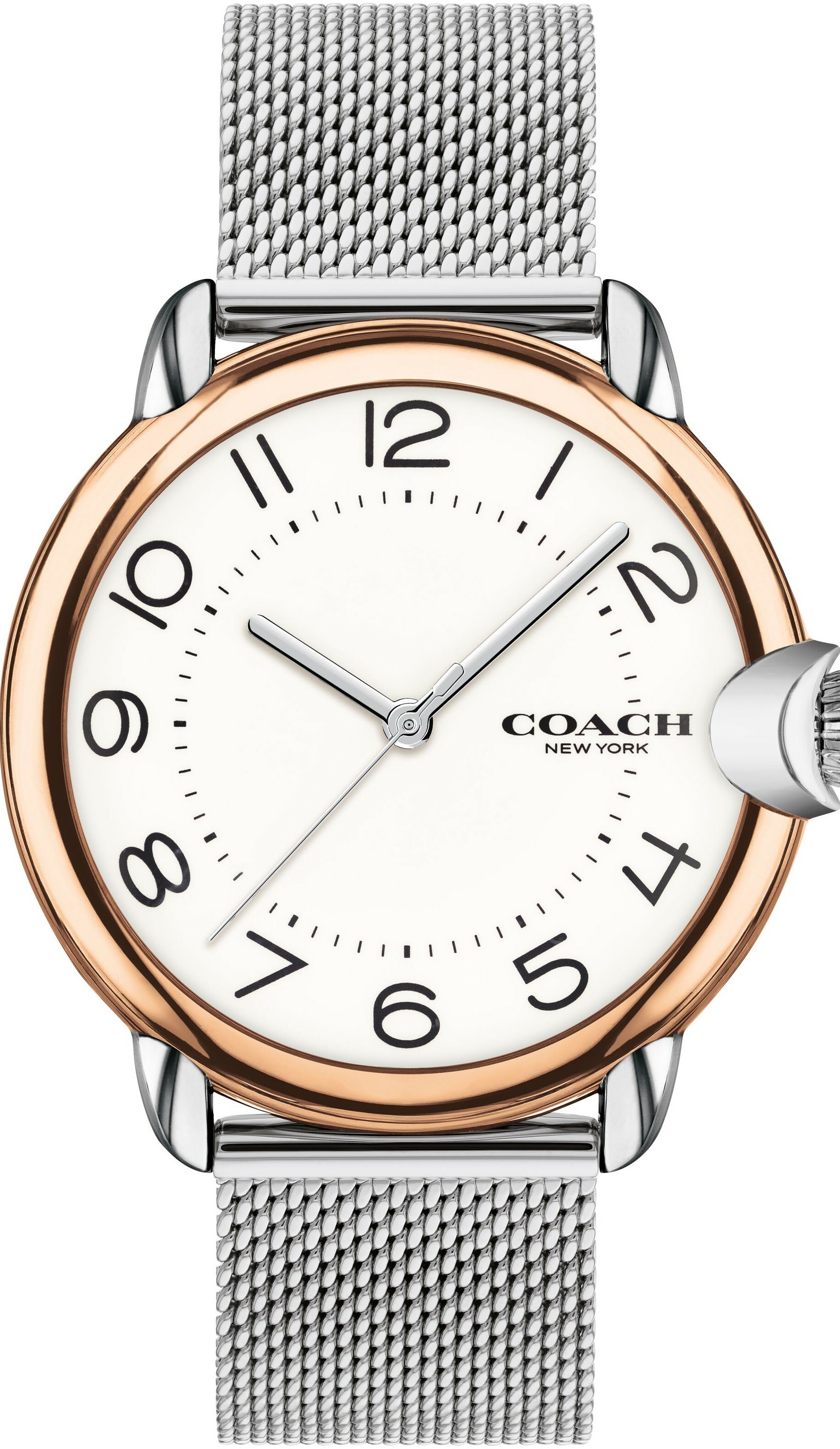 萬年鐘錶 - COACH錶  經典LOGO數字米蘭錶帶女錶  14503813  錶徑36MM