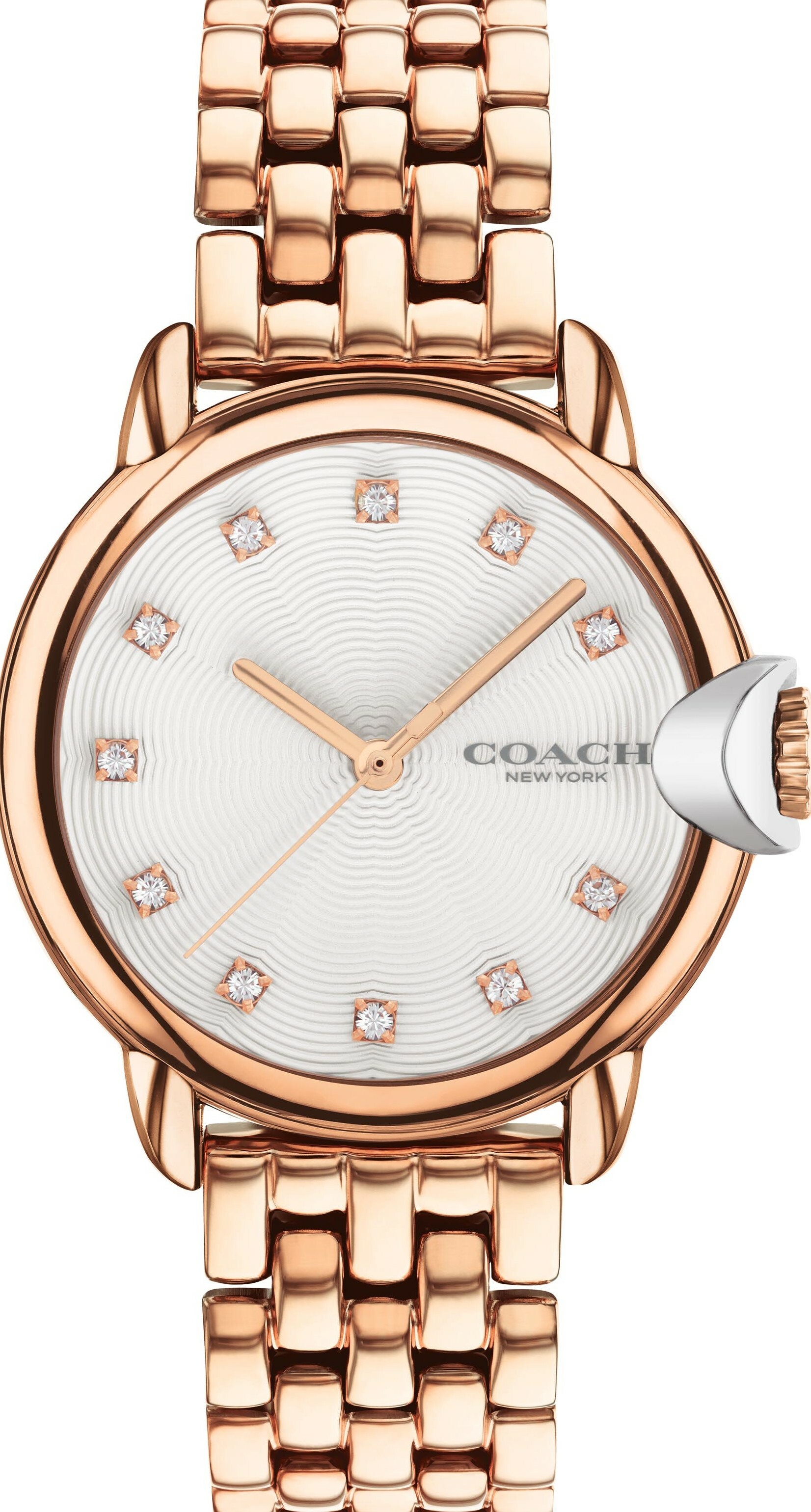 萬年鐘錶 - COACH錶  經典LOGO玫瑰金晶鑽女錶  14503820 錶徑32MM