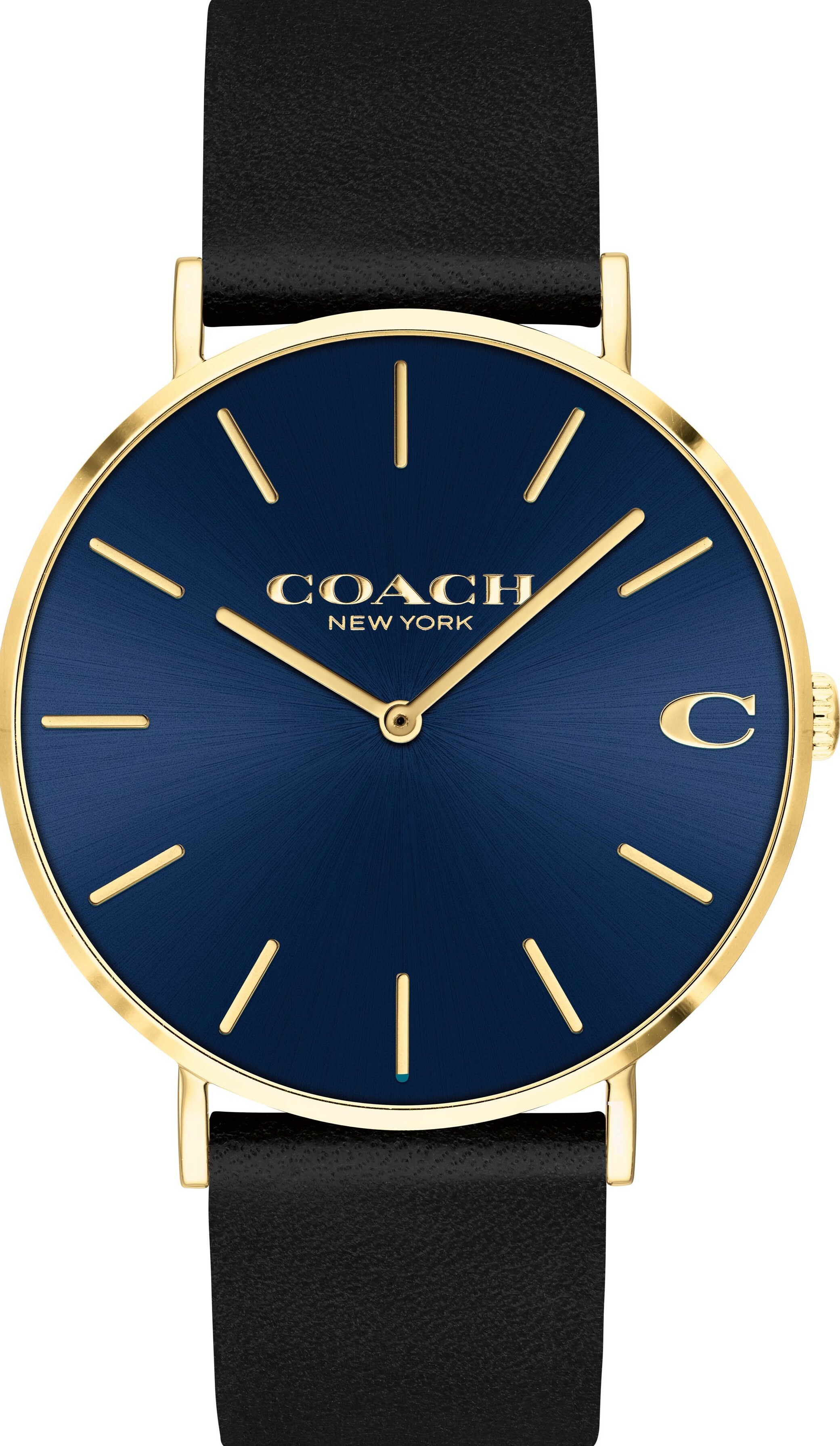 萬年鐘錶 - COACH錶   秘靜藍錶面皮革款經典男錶  14602548   錶徑41MM