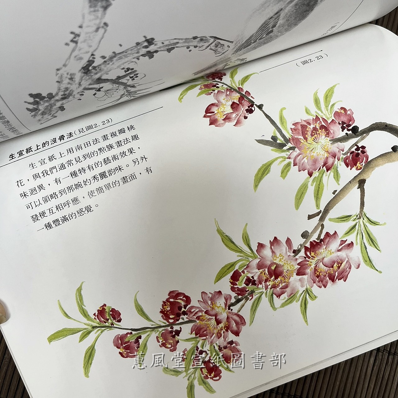 中國畫技法入門(7)--怎樣畫荷花．桃花
