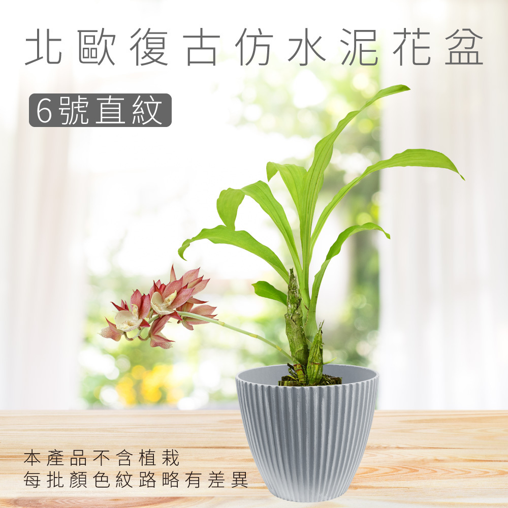 北歐復古仿水泥花盆-6號直紋