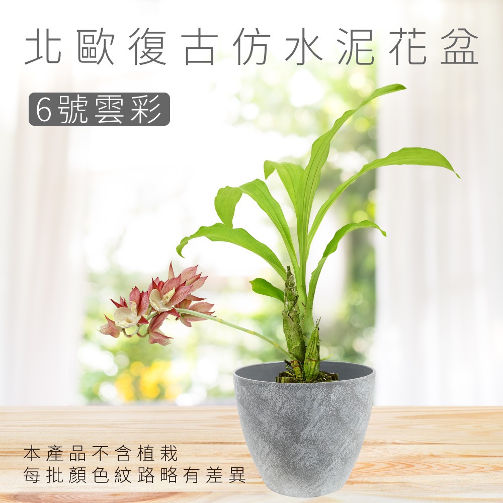 北歐復古仿水泥花盆-6號雲彩