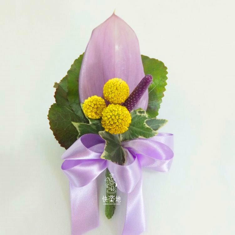 萌發✵紫火鶴胸花 AF210300